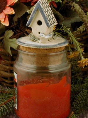 jar candle topper birdhouse