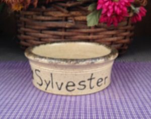 One of a kind Custom Handmade Pottery Small Personalized Pet Dish