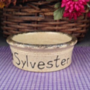 One of a kind Custom Handmade Pottery Small Personalized Pet Dish